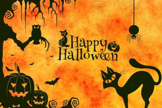 Illustration Halloween : chat noir, citrouilles, chauves-souris, hibou, araignée et texte sur fond orange.